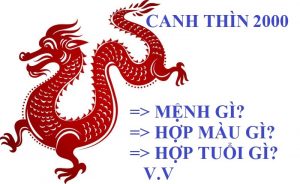 2000 menh gi Sinh năm 2000 mệnh gì? Canh Thìn hợp với tuổi nào và màu nào? Sinh năm 2000 mệnh gì? Canh Thìn hợp với tuổi nào và màu nào?