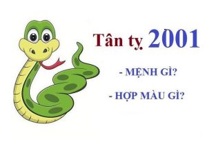 2001 menh gi Sinh năm 2001 mệnh gì? Tân Tỵ hợp với tuổi nào và màu nào? Sinh năm 2001 mệnh gì? Tân Tỵ hợp với tuổi nào và màu nào?