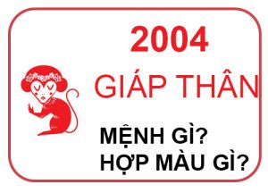 Sinh năm 2004 mệnh gì? Giáp Thân hợp với tuổi nào và màu nào?