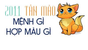 Sinh năm 2010 mệnh gì? Canh Dần hợp với tuổi nào và màu nào?