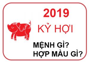 2019 menh gi Sinh năm 2019 mệnh gì? Kỷ Hợi hợp với tuổi nào và màu nào? Sinh năm 2019 mệnh gì? Kỷ Hợi hợp với tuổi nào và màu nào?