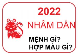 Sinh năm 2022 mệnh gì? Nhâm Dần hợp với tuổi nào và màu nào?