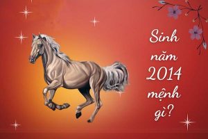 Sinh năm 2014 mệnh gì? Giáp Ngọ hợp với tuổi nào và màu nào?
