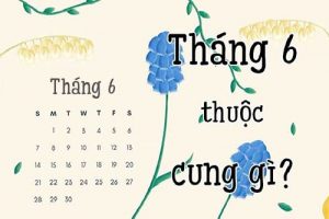 Người sinh tháng 6 cung gì? Tổng quan vận mệnh, tình yêu, sự nghiệp