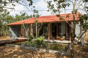 nha go mai ngoi do Nhà gỗ "trốn khói bụi" giữa vườn bưởi ở Huế Nhà gỗ "trốn khói bụi" giữa vườn bưởi ở Huế