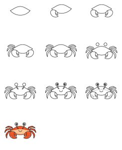 Drawing Crab in 10 Easy Steps Hướng dẫn cách vẽ con cua đơn giản với 9 bước ai cũng thực hiện được Hướng dẫn cách vẽ con cua đơn giản với 9 bước ai cũng thực hiện được