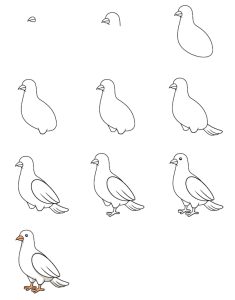 Drawing Dove in 10 Easy Steps Hướng dẫn cách vẽ chim bồ câu đơn giản với 9 bước ai cũng thực hiện được Hướng dẫn cách vẽ chim bồ câu đơn giản với 9 bước ai cũng thực hiện được