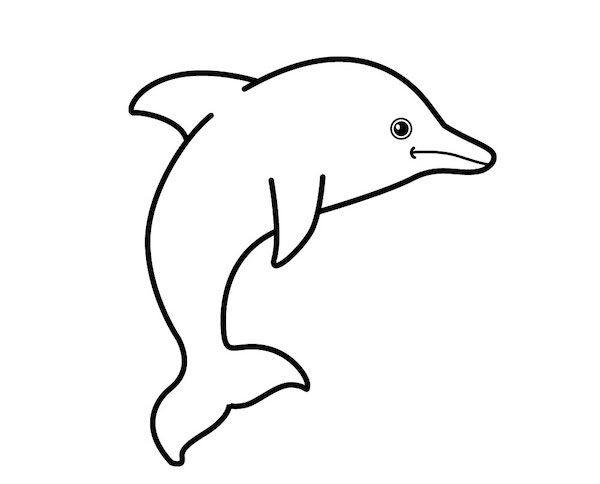 Cách vẽ con cá heo đẹp đơn giản quá ngộ nghĩnh dễ thương  Trường THPT  Kiến Thụy