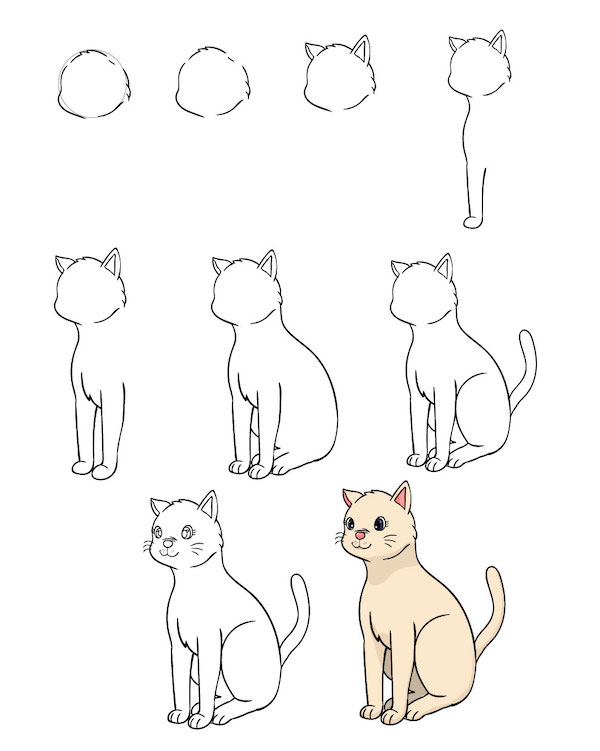 Hướng Dẫn Cách Vẽ Con Mèo Đơn Giản Với 9 Bước Ai Cũng Thực Hiện Được