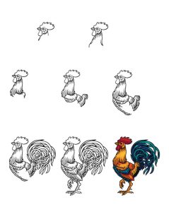 Rooster Hướng dẫn cách vẽ con gà trống đơn giản với 8 bước Hướng dẫn cách vẽ con gà trống đơn giản với 8 bước