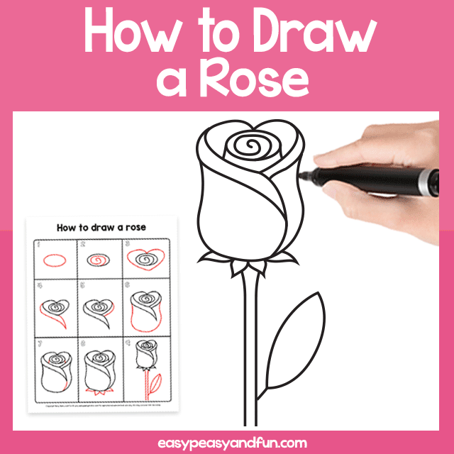 Cách vẽ một bông hồng