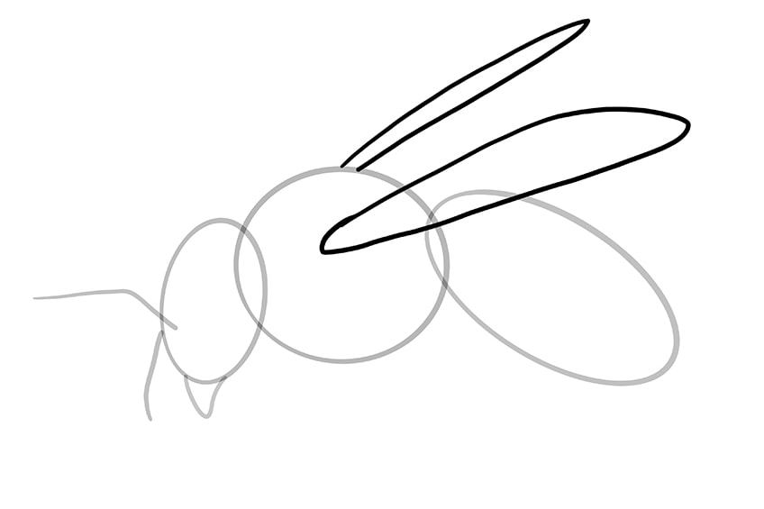 vẽ con ong 6