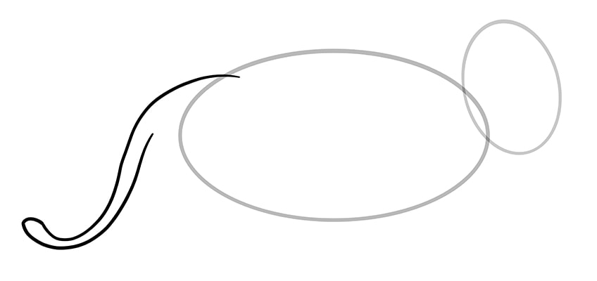 vẽ sư tử 3