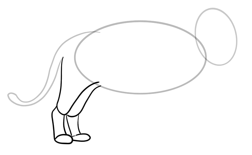vẽ sư tử 4