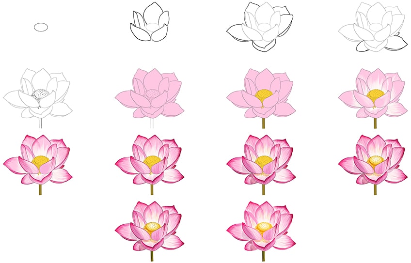Cách vẽ hoa sen đẹp đơn giản  VFOVN