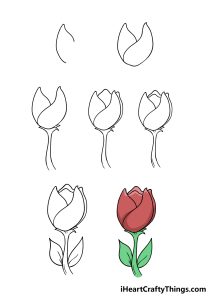 ve hoa tulip 17896 Hướng dẫn cách vẽ hoa tulip đơn giản từng bước ấn tượng Hướng dẫn cách vẽ hoa tulip đơn giản từng bước ấn tượng