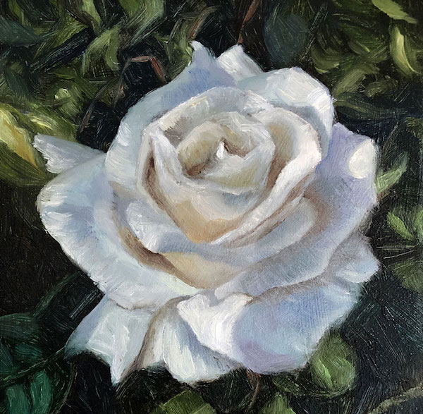 white rose with oils 500+ bức tranh hoa hồng đẹo rẻ treo tường ấn tượng nhất 2023 500+ bức tranh hoa hồng đẹo rẻ treo tường ấn tượng nhất 2023